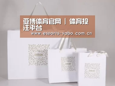 项目名称十一