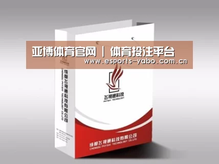 项目名称十三