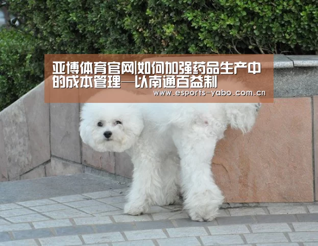 亚博体育官网|如何加强药品生产中的成本管理—以南通百益制(图1) 亚博官网