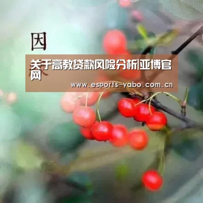 关于高教贷款风险分析|亚博官网(图1) 亚博体育